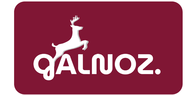 Network logo